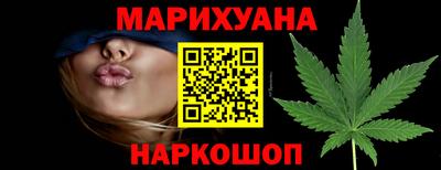 индика Беслан